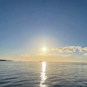 Meet your Posher, Anne